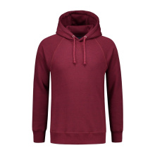 L&S Heavy Sweater Hooded Raglan for him - Topgiving