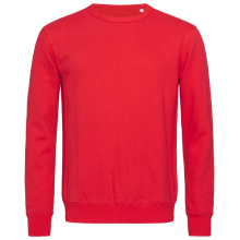 Stedman Sweater for him - Topgiving