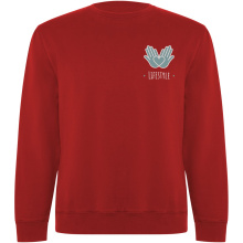 Batian unisex sweater met ronde hals - Topgiving