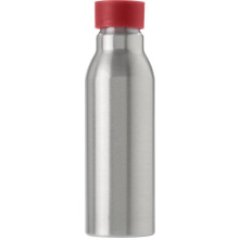 Aluminium fles (600 ml) Carlton - Topgiving