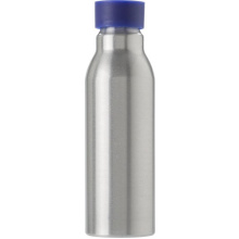 Aluminium fles (600 ml) Carlton - Topgiving