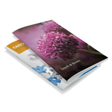 Brochure geniet A6 matte omslag - Topgiving