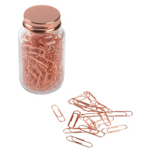 Paperclips in glas copper clips - Topgiving