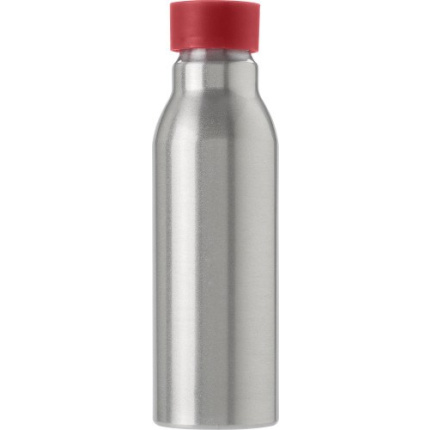 Aluminium fles (600 ml) Carlton - Topgiving