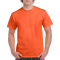 Gildan T-shirt Heavy Cotton for him - Topgiving