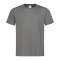 Stedman T-shirt Comfort-T SS for him - Topgiving