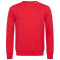 Stedman Sweater for him - Topgiving