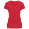 Stedman T-shirt V-neck Organic Janet SS for her - Topgiving
