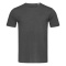 Stedman T-shirt Crewneck Shawn SS for him - Topgiving