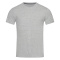 Stedman T-shirt Crewneck Clive SS for him - Topgiving