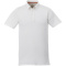 Atkinson button-down heren polo met korte mouwen - Topgiving