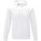 Charon heren hoodie - Topgiving