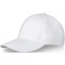 Davis 6 panel cap - Topgiving