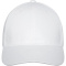 Davis 6 panel cap - Topgiving