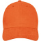 Davis 6 panel cap - Topgiving