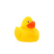 Squeaky duck classic - Topgiving