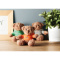 Teddybeer met sweatshirt - Topgiving
